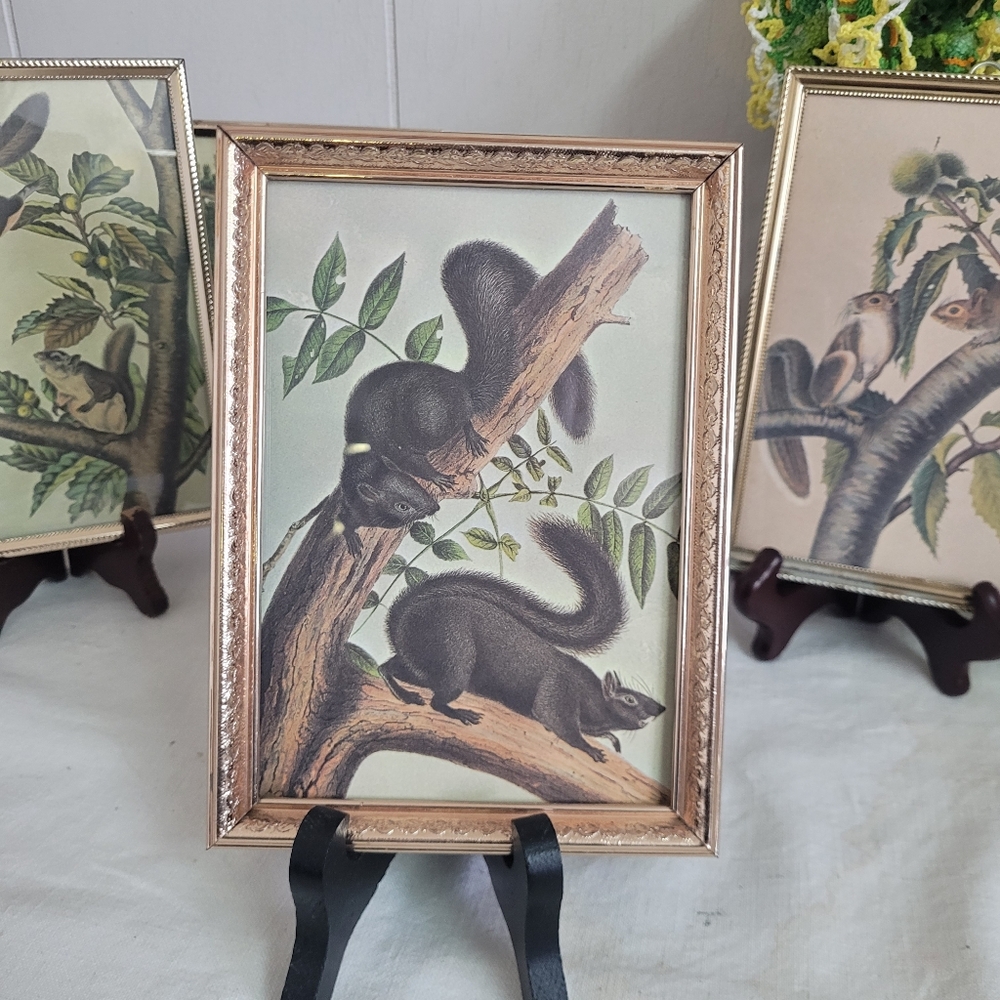 Vintage Upcycled Squirrel Art Print Black Squirrle Brass Frame